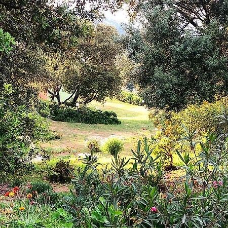Farm Stay Gli Oleandri Loiri Porto San Paolo Exterior foto