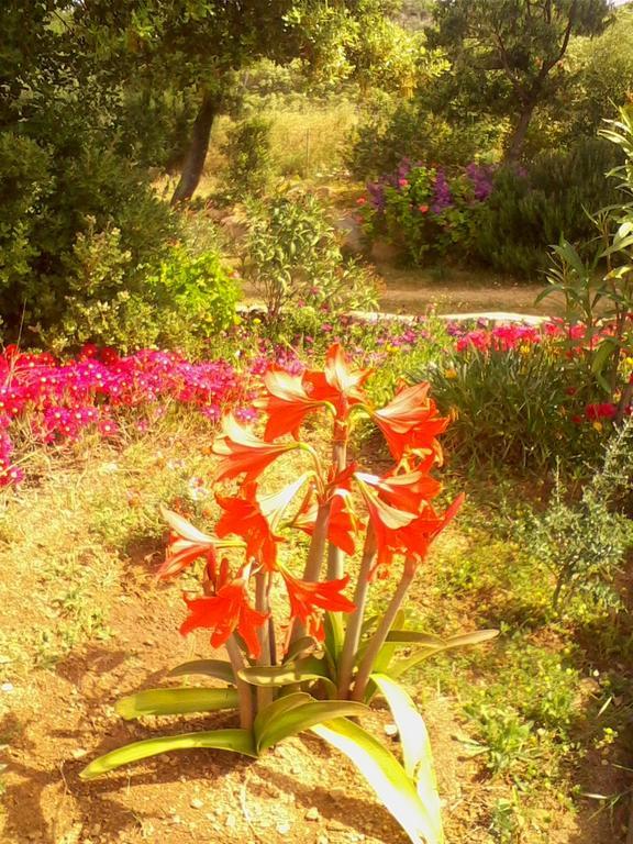 Farm Stay Gli Oleandri Loiri Porto San Paolo Exterior foto