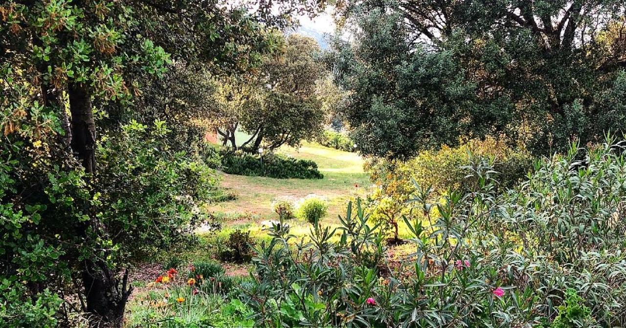 Farm Stay Gli Oleandri Loiri Porto San Paolo Exterior foto