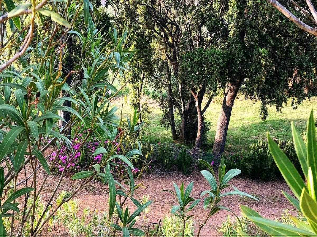 Farm Stay Gli Oleandri Loiri Porto San Paolo Exterior foto
